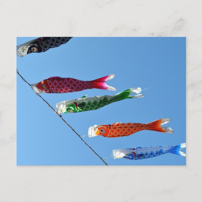 Cartão Postal Carp Streamers (koinobori): Japão (Frente)