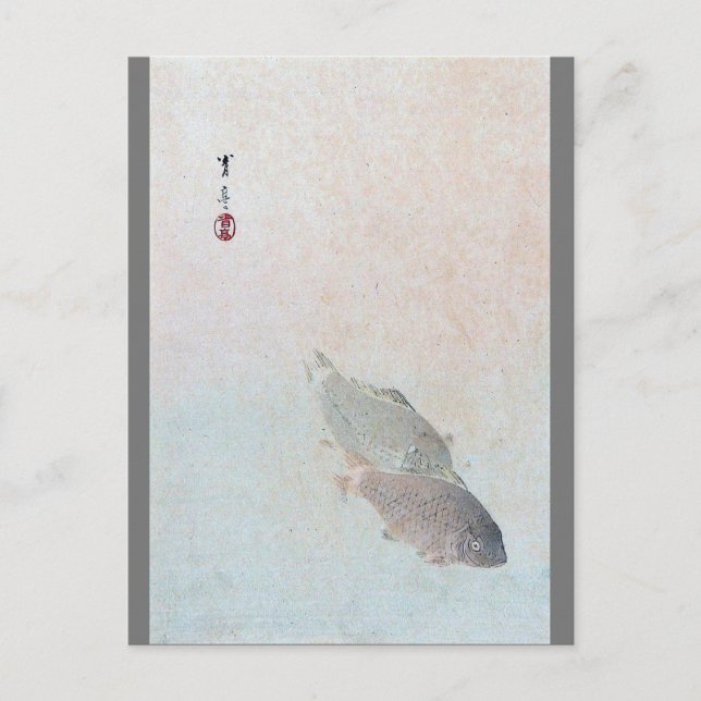 Cartão Postal Carp, Watanabe Seitei (Frente)