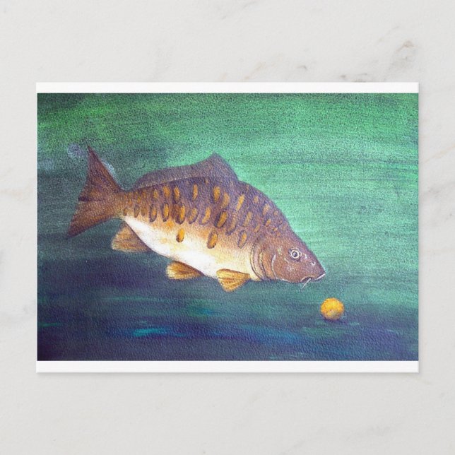 Cartão Postal Carpa espelho (Frente)