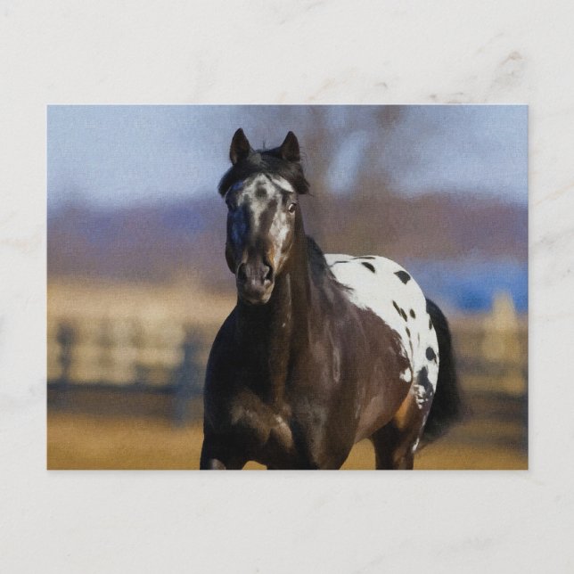 Cartão Postal Carregador (Frente)