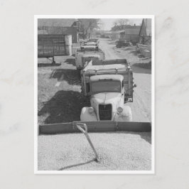 Cartão Postal Carregamentos de milho descascado