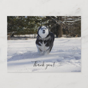 Cartão Postal Carregando através do Cartão-Postal Obrigado