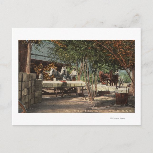 Cartão Postal Carregando Frutas na Fazenda Longview (Frente)