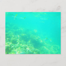 CARTÃO POSTAL CARRIBEAN 12