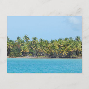 CARTÃO POSTAL CARRIBEAN SEA 8 POSTCARTÃO