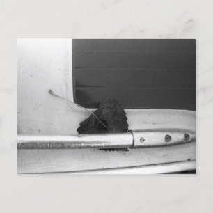 Cartão Postal Carril de Folha e Capa