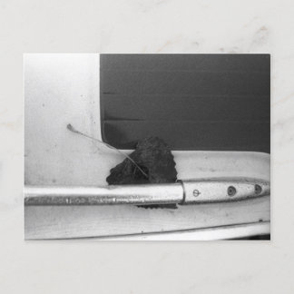 Cartão Postal Carril de Folha e Capa