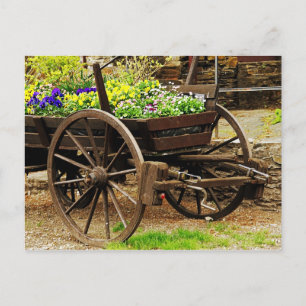 Cartão Postal Carrinho de flores