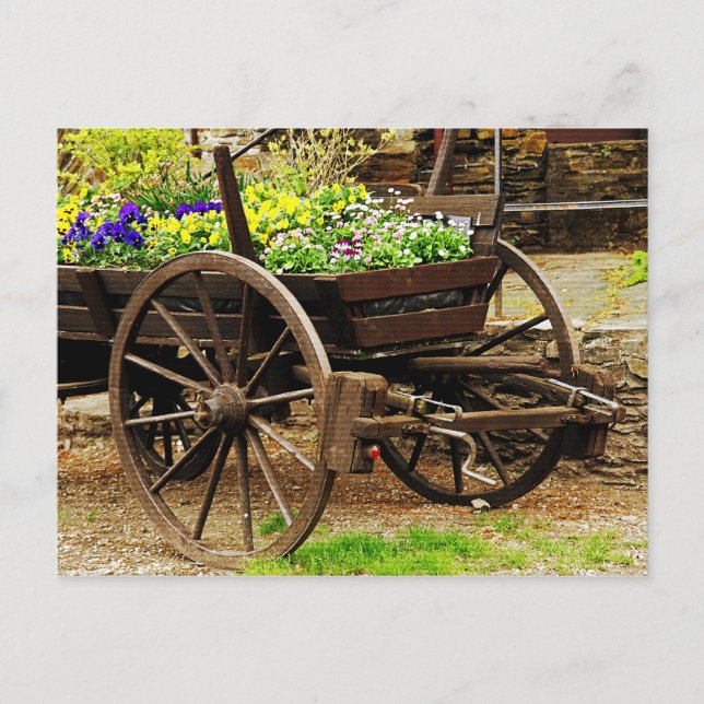 Cartão Postal Carrinho de flores (Frente)