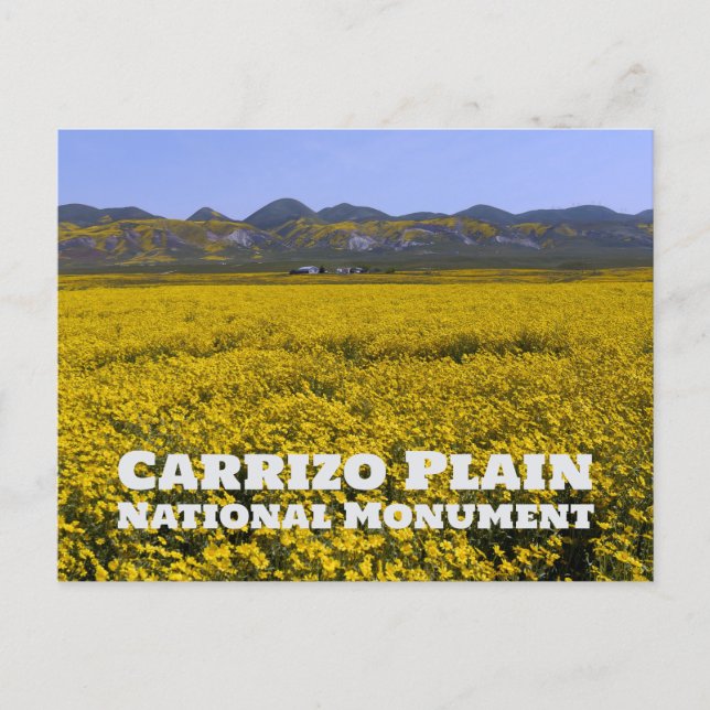 Cartão Postal Carrizo Plain National Monument (Frente)