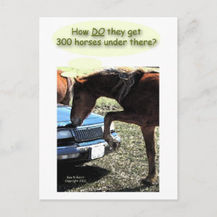 Cartão Postal Carro Engraçado 300 Cavalo