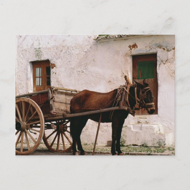 Cartão Postal Carro puxado a cavalo antiquado (Frente)