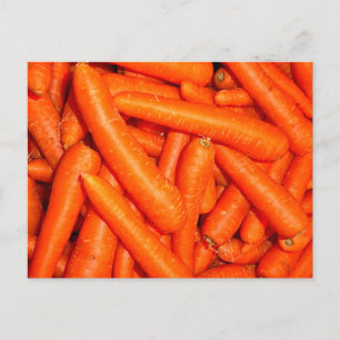 CARTÃO POSTAL CARROÇARIA