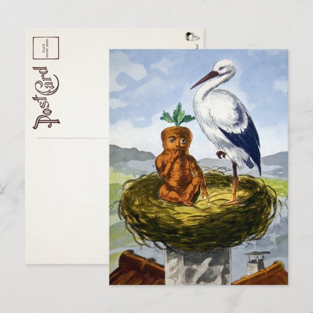 Cartão Postal Carrot Baby Vitoriano num Cartolo Ninho  (Frente/Verso)