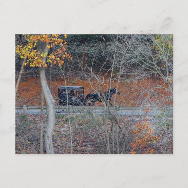 Cartão Postal Carruagem Amish em uma Estrada Rural no Outono, Oh (Frente)