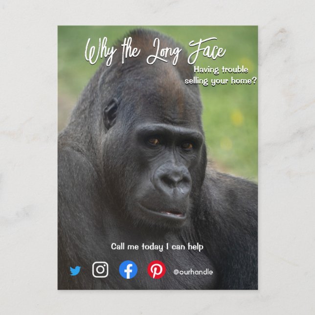 Cartão Postal carta postal de propriedade engraçada cara macaco (Frente)