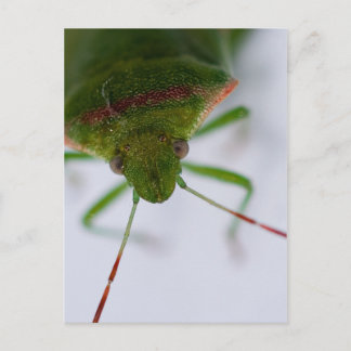 Cartão Postal Cartão-Postal