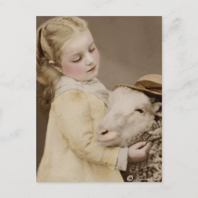 Cartão Postal Cartão-postal 11 com palmadinha do victoriano Edwa (Frente)