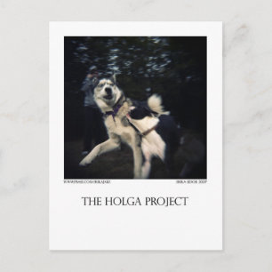 Cartão Postal Cartão-postal 13 do Parque Canino