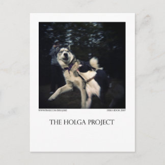 Cartão Postal Cartão-postal 13 do Parque Canino