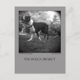 Cartão Postal Cartão-postal 15 do Parque Canino