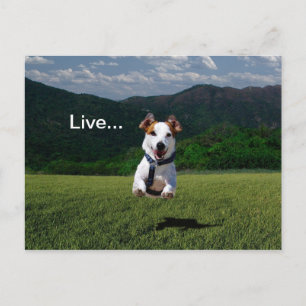 Cartão Postal Cartão-postal 2 "Ao Vivo Como Alguém Deixou a Po