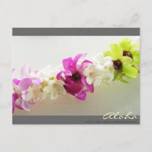 Cartão Postal Cartão-postal Aloha Lei Hawaii