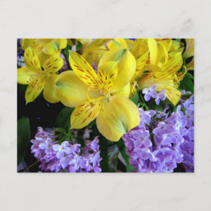 Cartão Postal Cartão-postal Alstroemeria e Flores Lilacs