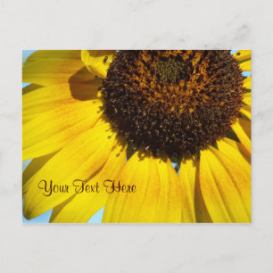 Cartão Postal Cartão-postal amarelo de girassol. -Personalizável