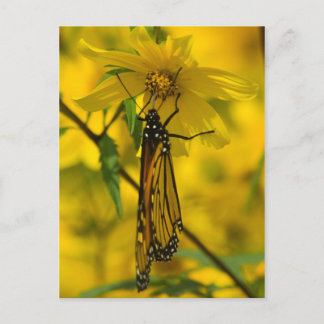 Cartão Postal Cartão-postal amarelo e monarca