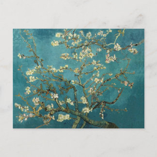 Cartão Postal Cartão-postal Amêndoa Blossom