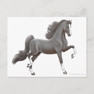 Cartão Postal Cartão-postal americano Saddlepura Horse