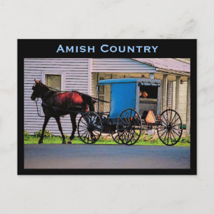 Cartão Postal Cartão-postal Amish Buggy