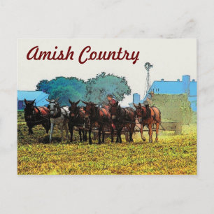 Cartão Postal Cartão-postal Amish Farming