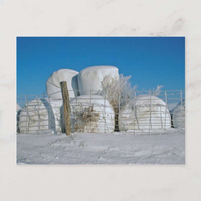 Cartão Postal Cartão-postal Amish Round Hay (Frente)