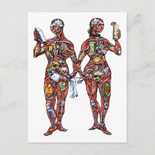 Cartão Postal Cartão-postal Anatomia do Barman (macho e fêmea)