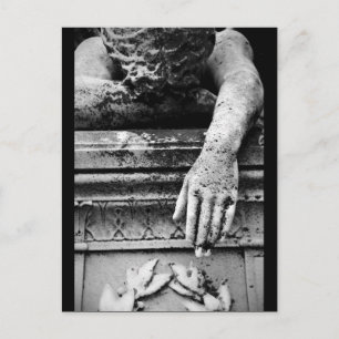 Cartão Postal Cartão-postal Anterior