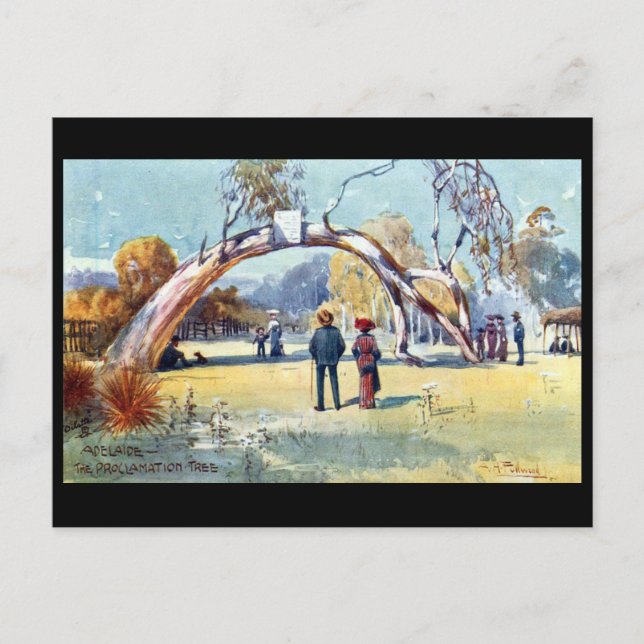 Cartão Postal Cartão-postal antigo - Adelaide, Austrália Meridio (Frente)