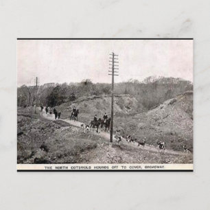 Cartão Postal Cartão-postal antigo - Caça-Algodão Norte, Broadwa