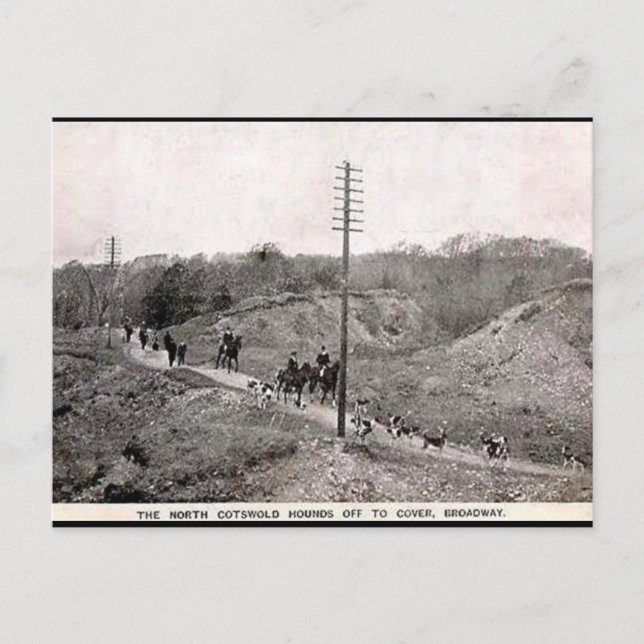 Cartão Postal Cartão-postal antigo - Caça-Algodão Norte, Broadwa (Frente)