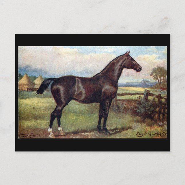 Cartão Postal Cartão-postal antigo - Caçador Inglês (Frente)