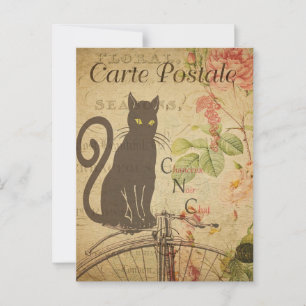 Cartão Postal Cartão-postal antigo do Gatinho francês