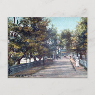 Cartão Postal Cartão-postal antigo - Springhill, Nova Escócia