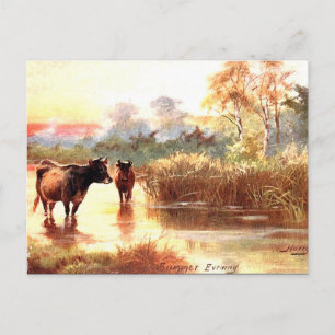 Cartão Postal Cartão-postal antigo - Uma Noite de Verão