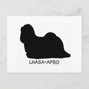 Cartão Postal Cartão-postal Apso Lhasa