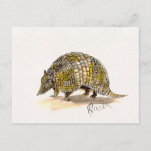Cartão Postal Cartão-postal Armadillo