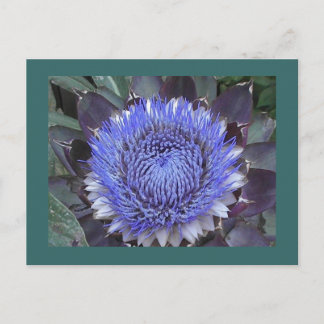 Cartão Postal Cartão-postal Artichoke Bloom