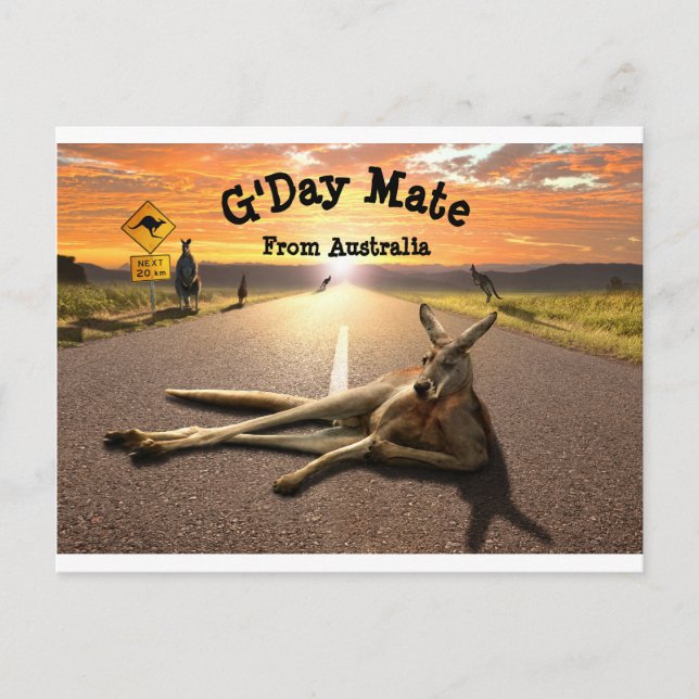 Cartão Postal Cartão-postal Aussie Kangaroo (Frente)