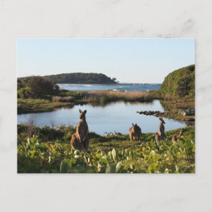 Cartão Postal Cartão-postal australiano