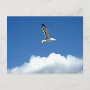 Cartão Postal Cartão-postal autônomo